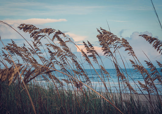 לתפוס את הבריזה: הסיפור שמאחורי הטי־שירטס שלנו